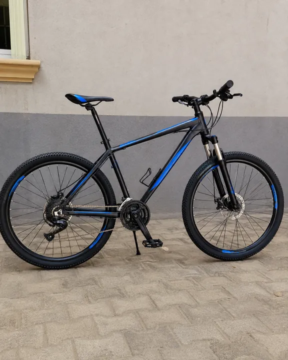 Black & Blue Mountain Bicycle